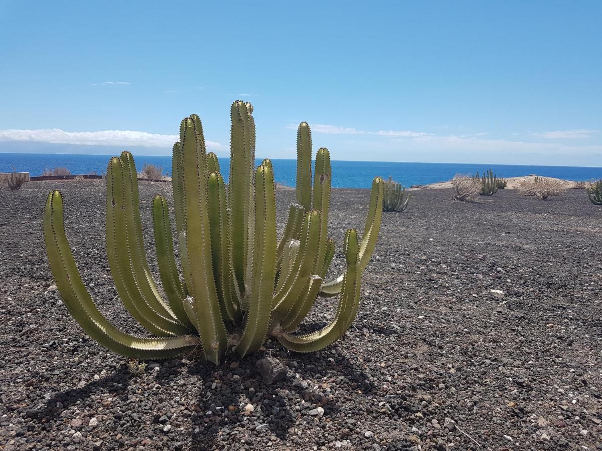 Tenerife Lizards - Duplex In The First Line Callao Salvaje Esterno foto