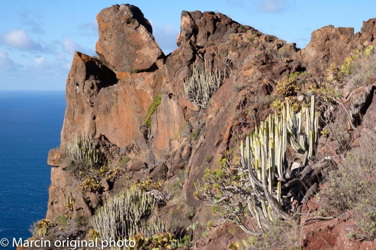 Tenerife Lizards - Duplex In The First Line Callao Salvaje Esterno foto