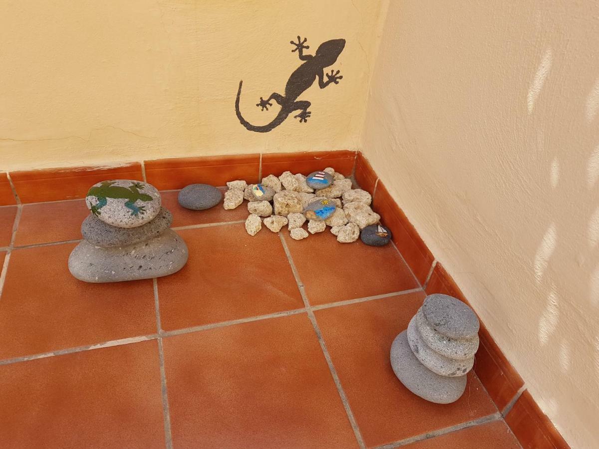 Tenerife Lizards - Duplex In The First Line Callao Salvaje Esterno foto